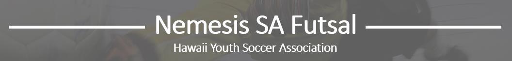 Nemesis SA Futsal banner